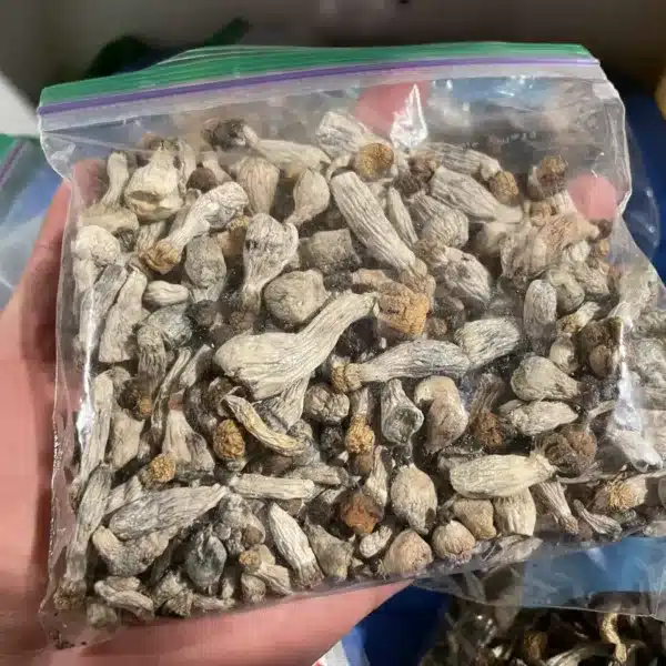 Order Ghost magic mushrooms in Canada