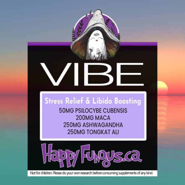 Vibe Libido Microdose