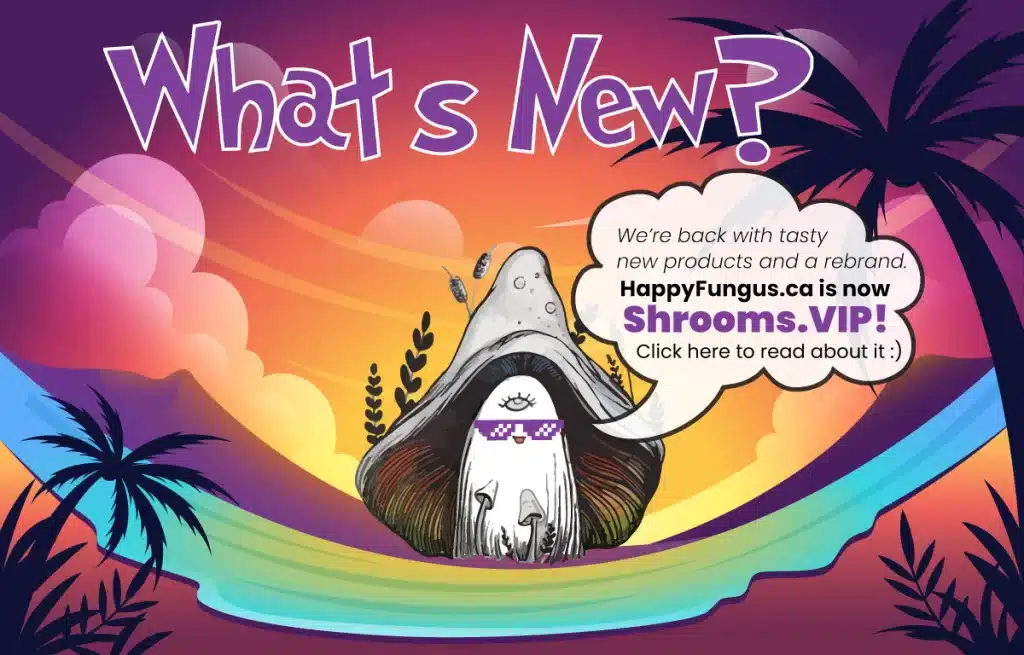 New bar flavours, new name!